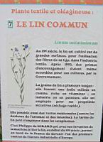 P07 - Lin commun.jpg